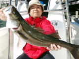 東京湾ランカーシーバス７０cm！（2009 11/15）-1