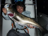 東京湾ランカーシーバス７５ｃｍ！（2009 11/19）-2